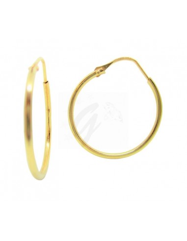 COPPIA ORECCHINI ORO G. 750/1000  CERCHI